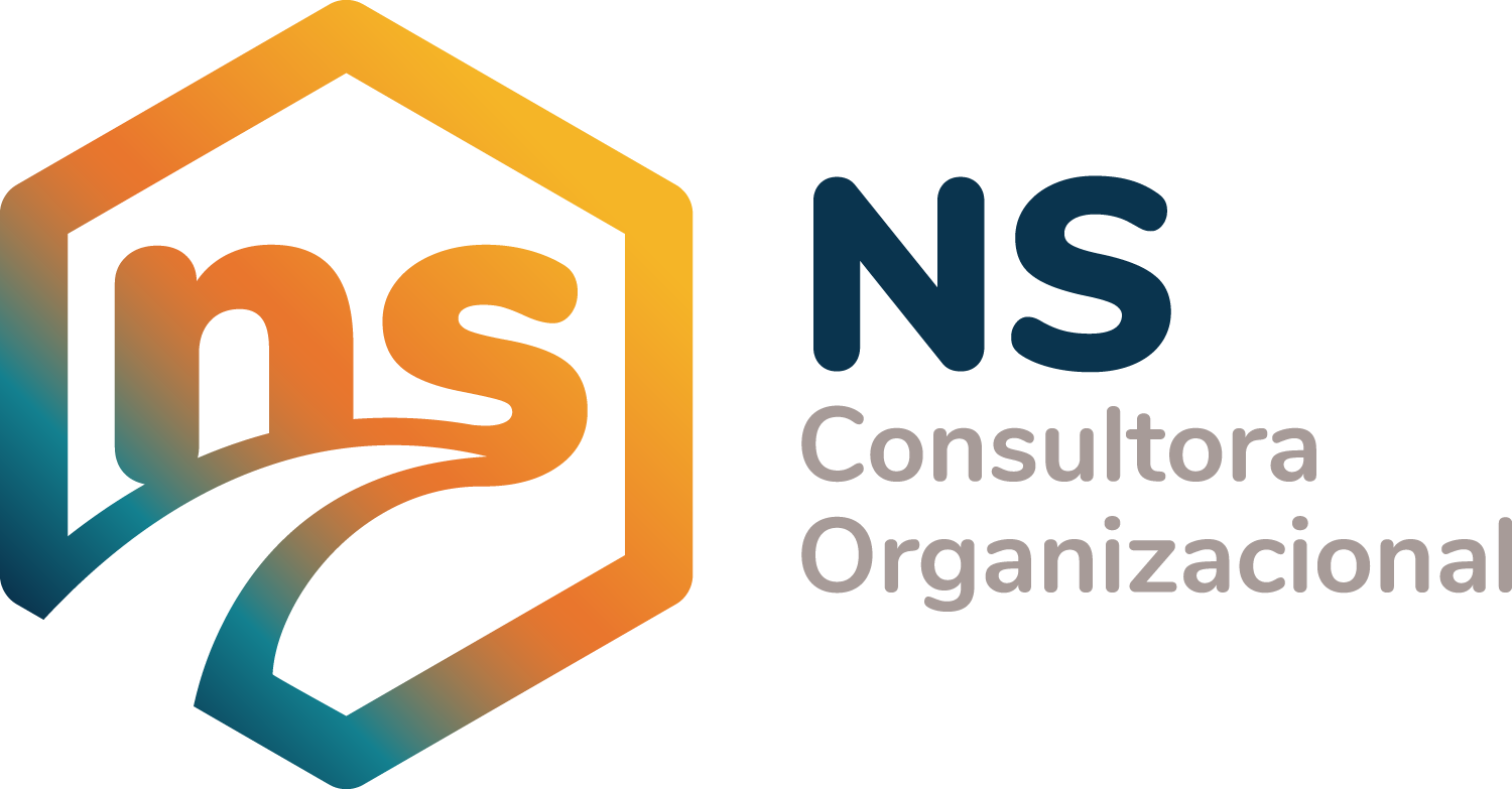 NS Consultora Organizacional